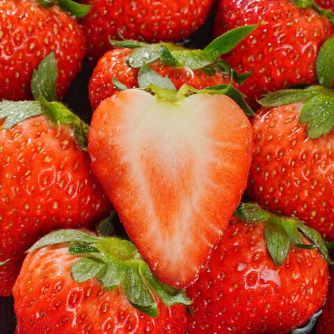 中果农茂丹东草莓【JD/顺丰-多地次日达】新鲜现摘草莓99红颜奶油大草莓 2斤装-【单果10-15g】净重1.8斤-京东快递