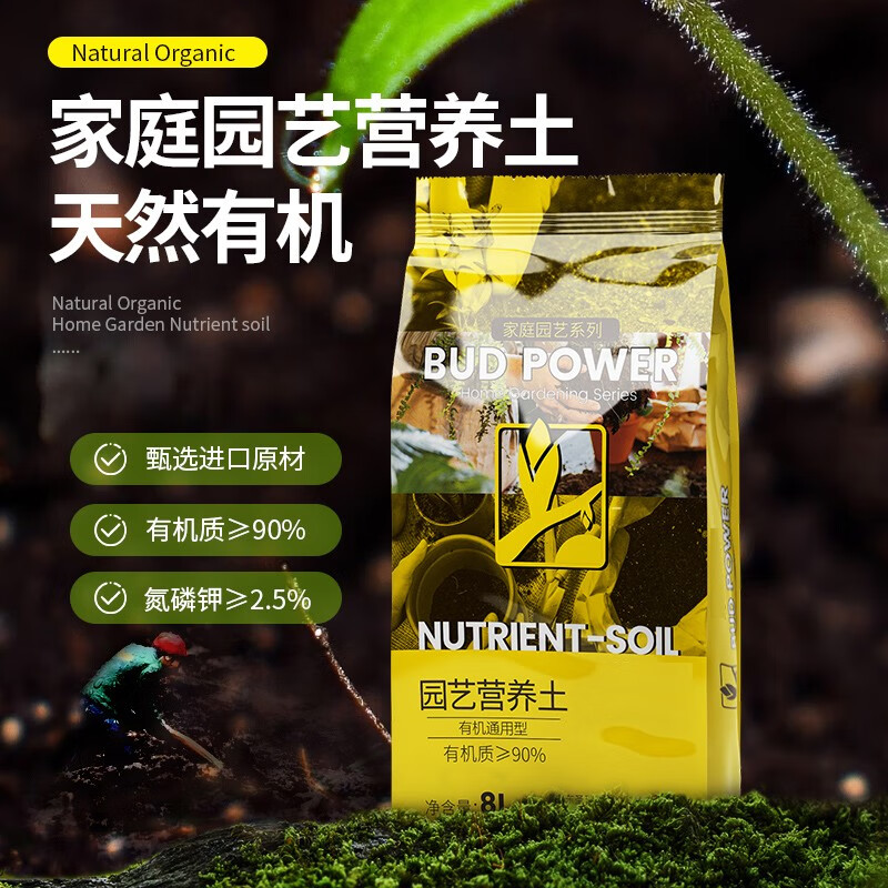 种菜记 十香菜种子种籽孑苗秧石香菜薄荷食用四川鱼香菜草四季菜苗