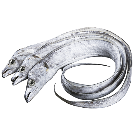 ���ڲ�������ָ������ɽС�۴��� �״����������� �����ʹ��� �����䶳�������� ���� ����S+�� ��ɽ�������㡿�ش�� ��ָ���4�� ��4-7�� 139Ԫ