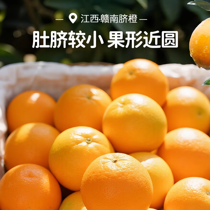 庾丰 正宗江西赣南脐橙 新鲜水果整箱 赣州橙子 团购彩箱送礼春节年货 10斤装 单果80mm-85mm+ 净重9斤