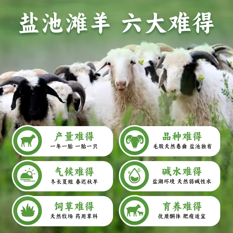 天肴港宁夏盐池滩羊清真生鲜羊肉整半只羊食材火锅烧烤食材直发 【小家庭尝鲜装】盐池滩羊 4 斤