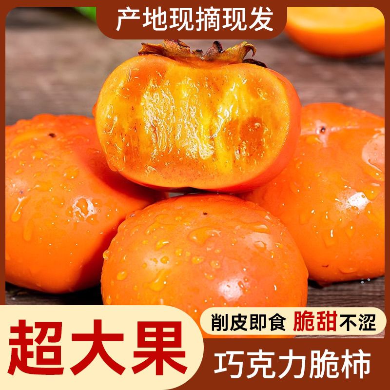本来果坊【本来果坊】陕西阳丰巧克力脆柿子当季新鲜水果硬柿甜柿批发 净重4.5斤 单果110-130g【大果】