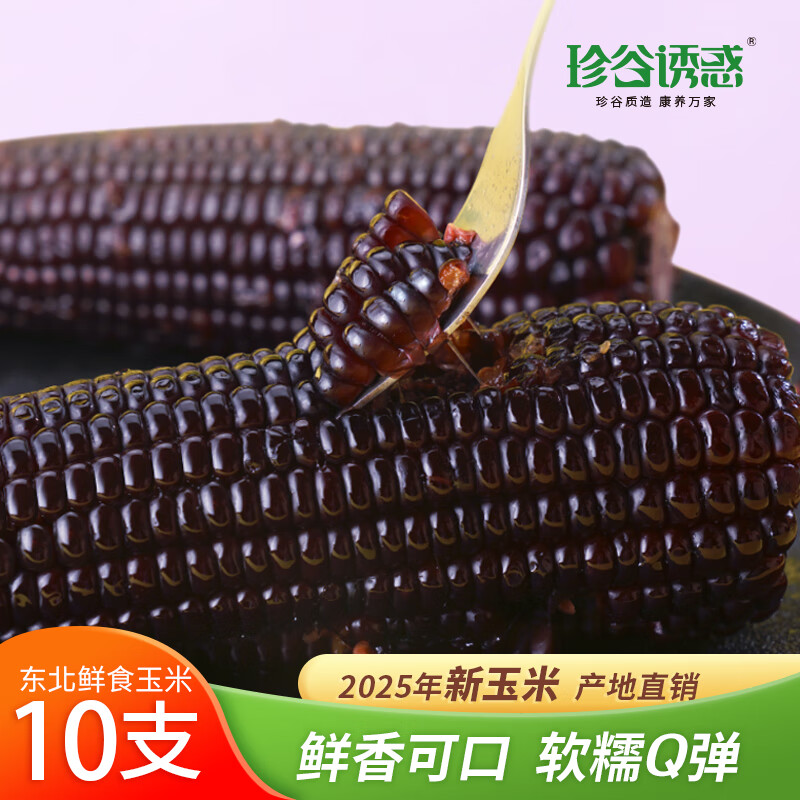 珍谷誘惑25年?yáng)|北甜糯玉米棒 鮮食軟糯 粘糯玉米 原產(chǎn)地直發(fā) 真空包裝 黑糯玉米10支*240g