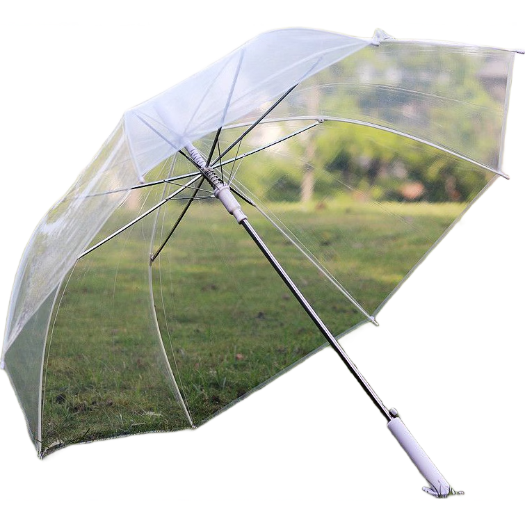 ͸ɡ˫Ůinsѧ۵Լͯɡ ͸ɡ2ѡкšʺһ 10.9Ԫ