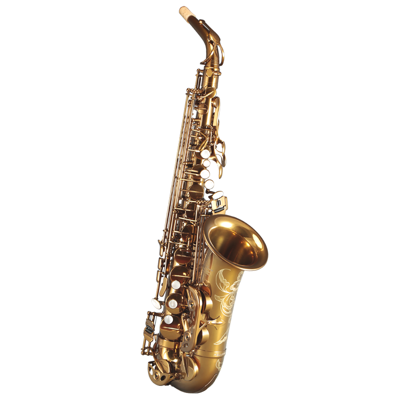 ROLLINS羅林斯薩克斯降E調(diào)9902中音薩克斯管樂器初學(xué)入門演奏考級(jí)通用款 9902中音-基礎(chǔ)款（性價(jià)比）