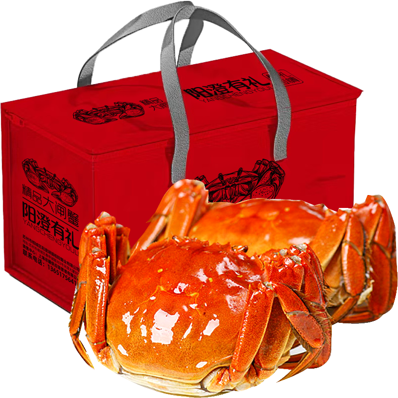 【活蟹】阳澄有礼 3两公蟹6只 精品大闸蟹鲜活海鲜螃蟹 蟹类生鲜礼盒 源头直发