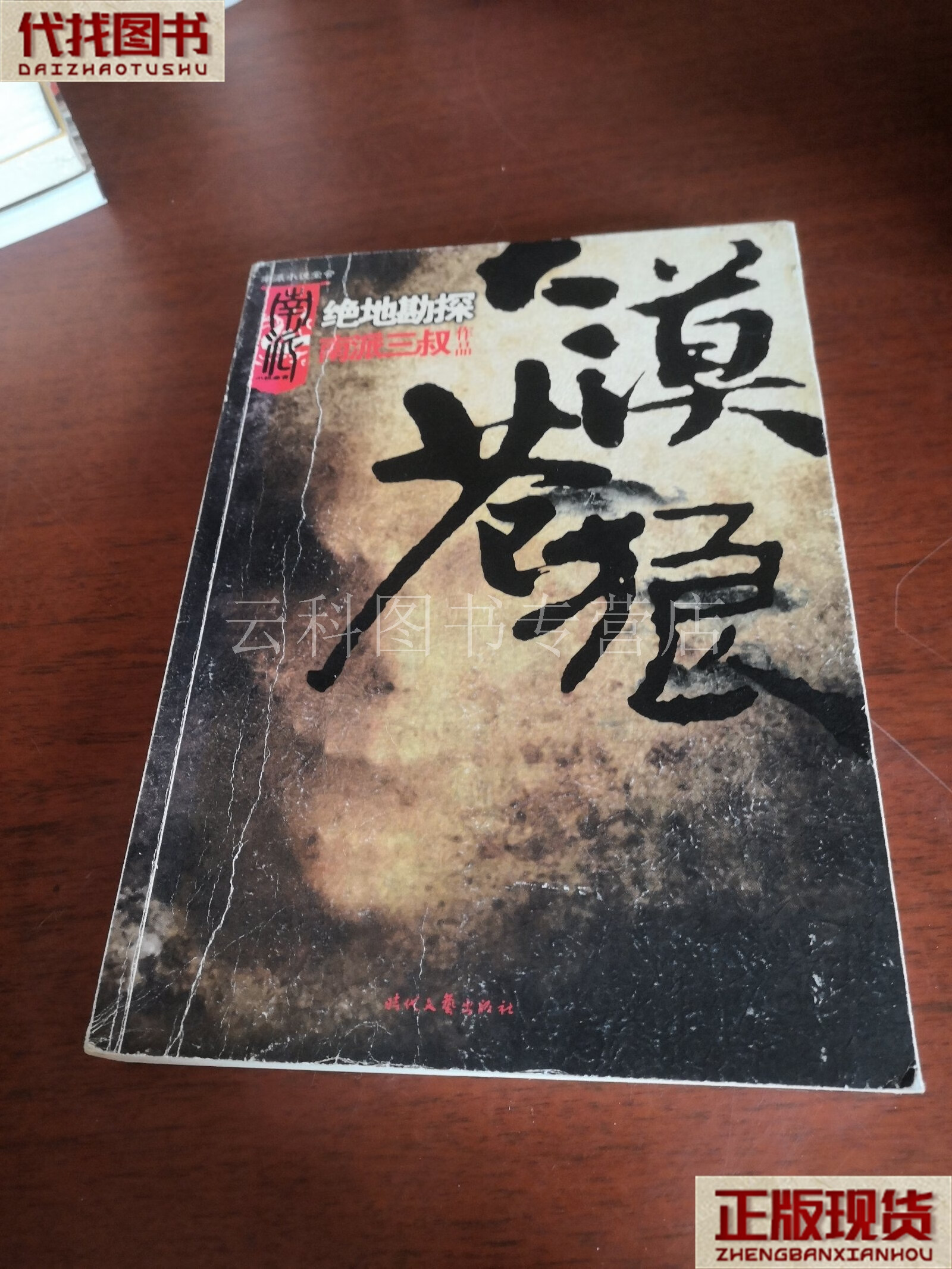大漠苍狼:绝地勘探 南派三叔 著 文化艺术出版社 二手书