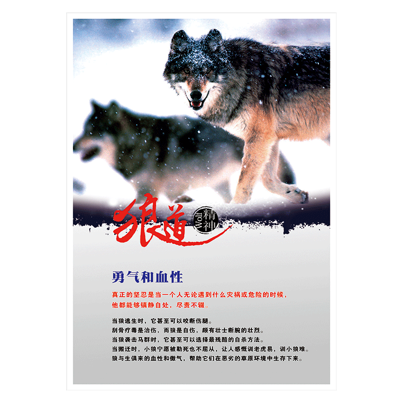 标语展板团队力量狼道精神墙贴画覆膜贴纸igh24 igh24-01 勇气和血性