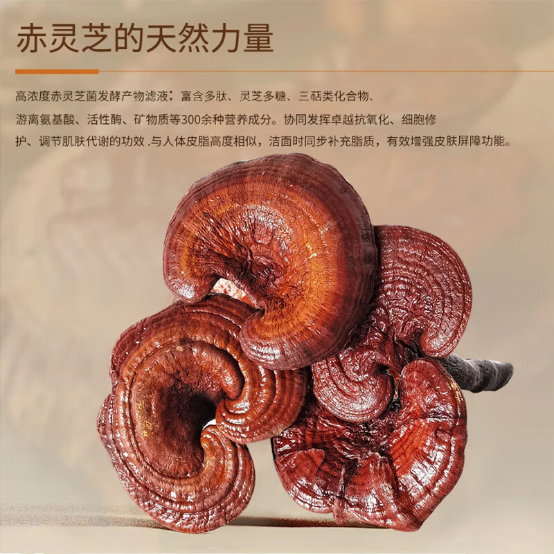 菌动灵芝多糖润肤皂手工皂洁面香皂润肤清洁洗澡沐浴全身可用男女通用 手工制皂（十盒装）