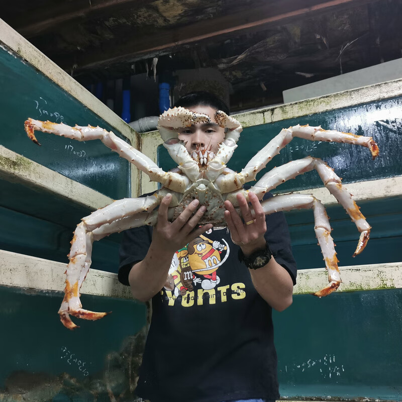 DL胖东来同款DL品质代购帝王蟹阿拉斯加鲜活海鲜水产超特大冰鲜帝 冰鲜蟹3斤(实发3-3.5斤)只