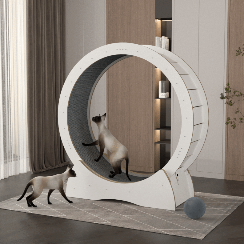 元族猫咪滚筒跑步机实木宠物滚轮静音运动猫猫健身大型玩具用品猫爬架