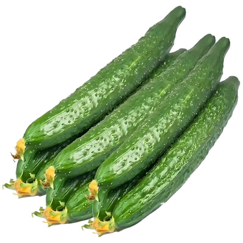 �ٽ��ۣ����� �ܴ̻ƹ� ˮ����� 5�����4.6� ��25-40cm �й���������ũ��Ʒ 6.99Ԫ/������