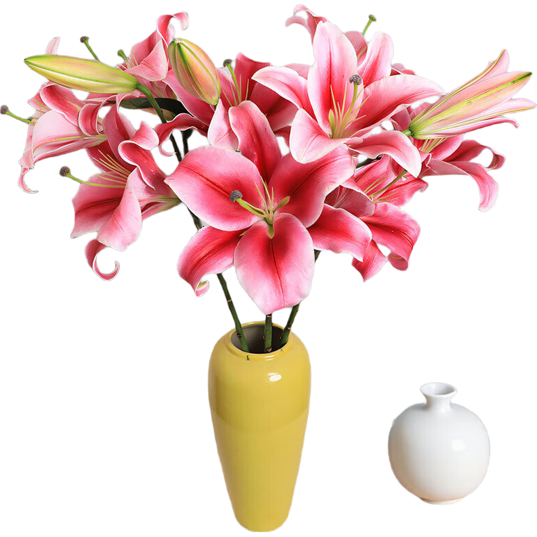 ʦڻõٺϻܰʻϻֱϦĸ׽ õ10֦+ٺ6