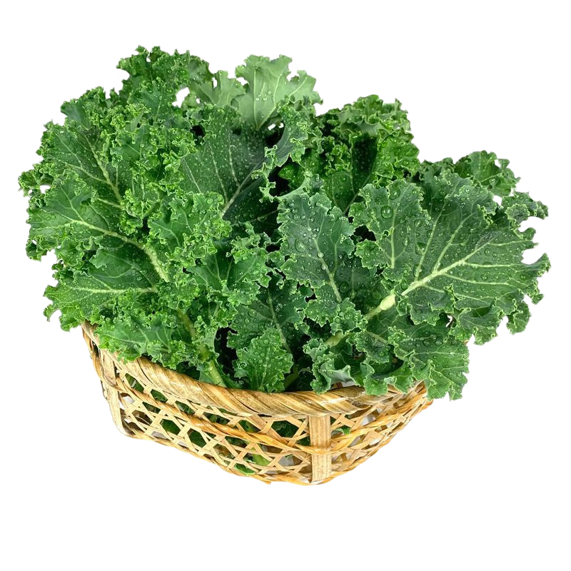 京鲜生云南羽衣甘蓝净重2斤 新鲜现摘现发榨汁凉拌低卡健康轻食源头直发