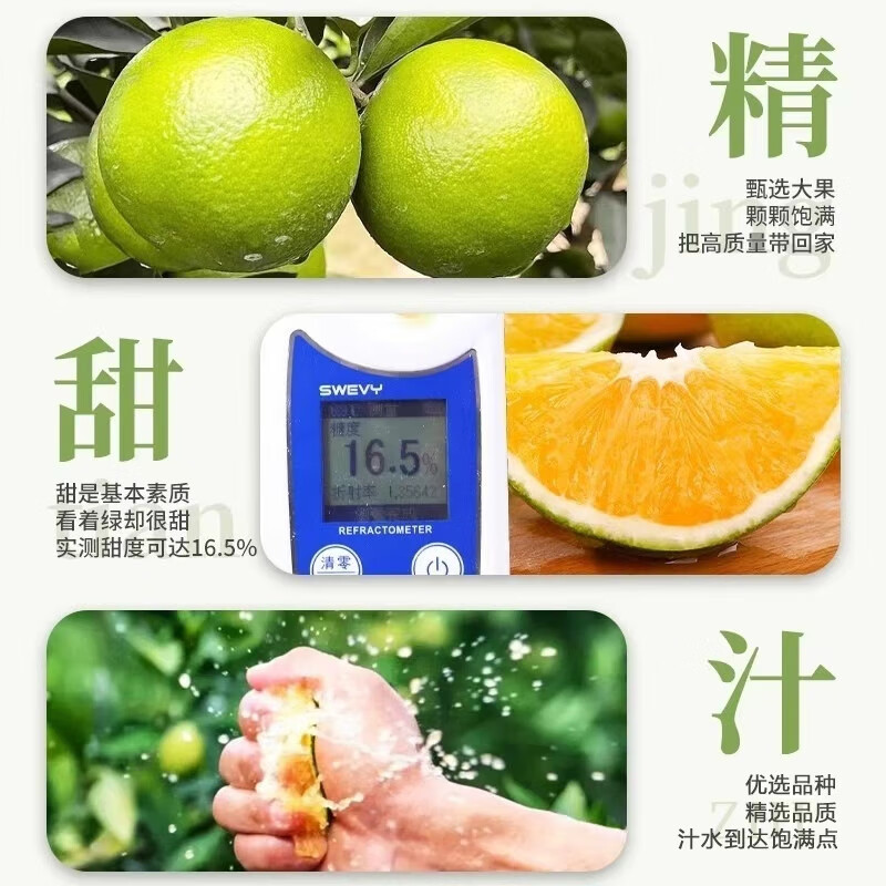 广西应季皇帝柑净重3斤