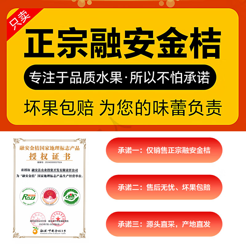 融安金桔旗舰店正宗广西脆蜜金桔第三代脆蜜金柑小金桔子新鲜水果礼盒装 伴手礼盒 滑皮净1.8斤 单果20g+【独立包装】无手提袋