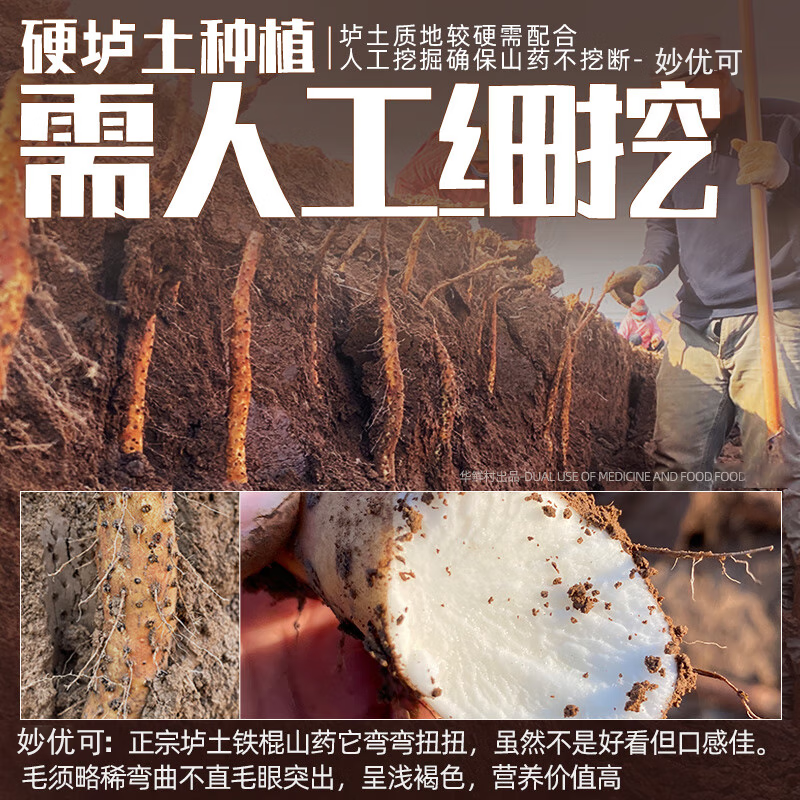 沁园秋正宗河南焦作温县垆土铁棍山药怀山药产地直发 垆土铁棍山药 净重3斤(24-28cm)家庭装
