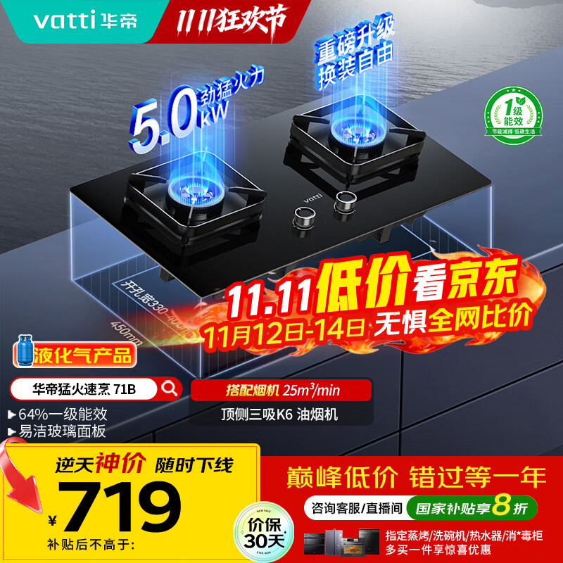 华帝（VATTI）国家补贴20%燃气灶煤气灶台式嵌入式5.0kW猛火熄火保护一级能效双灶台灶具i10071B【液化气商品