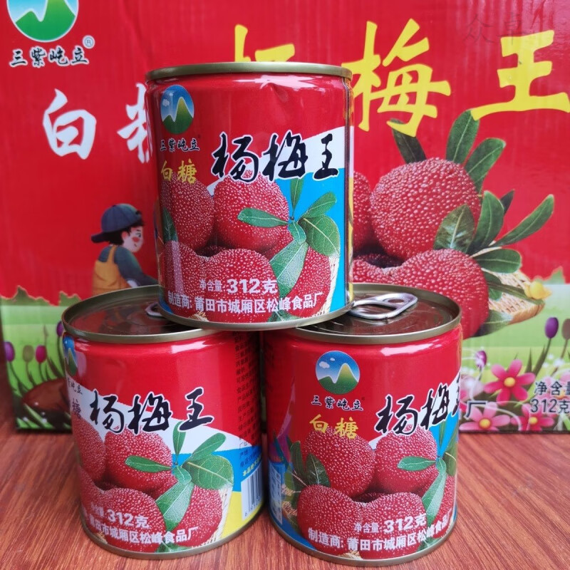 望蓝川福建特产屹立王中王杨梅王罐头312X12瓶新鲜水果杨梅罐装 12瓶豪爽王中王带礼盒