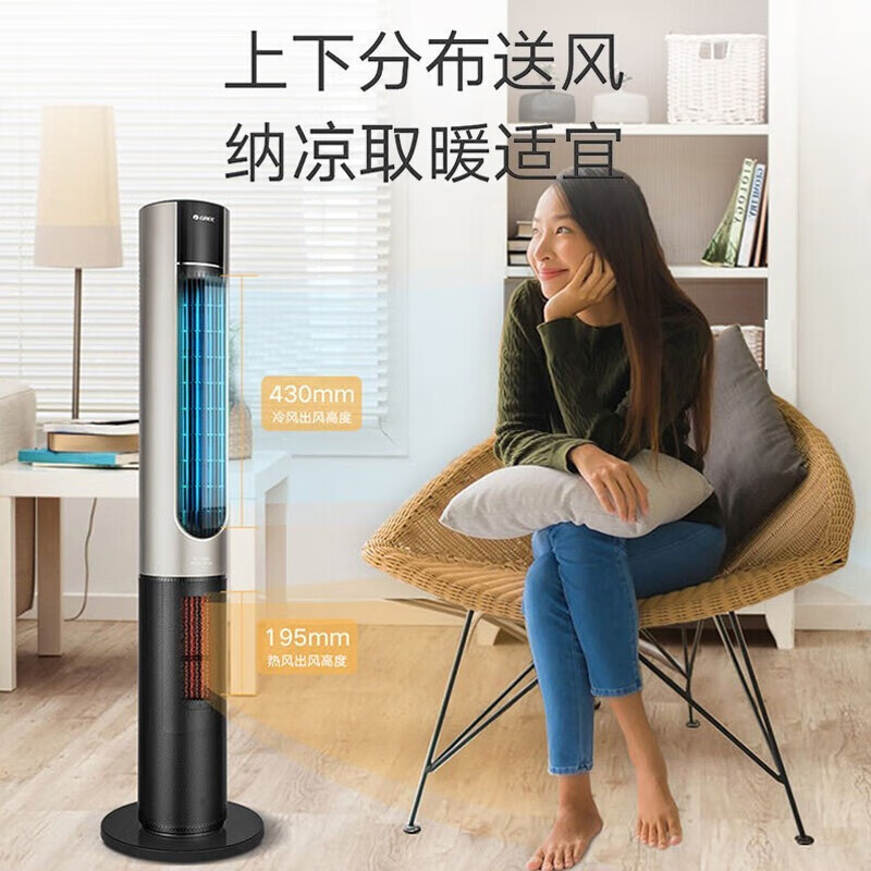 格力（GREE） 塔扇冷暖两用落地扇 电风扇家用塔式无叶加湿风扇等离子除菌取暖器暖风机WIFI 智控节能低躁电扇 FL-1001RBag