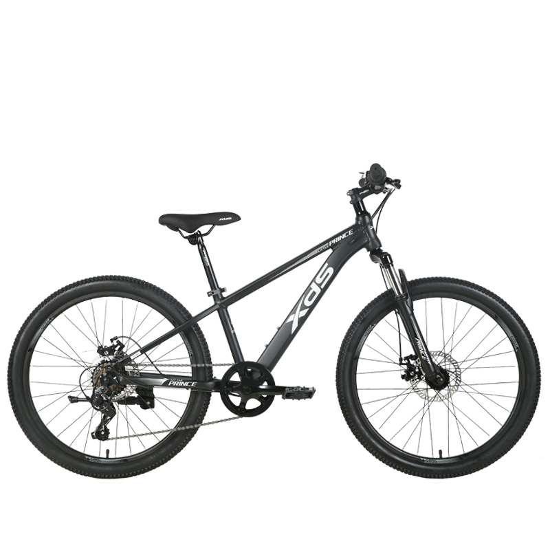 ϲ��ʢ��xds����ͯ���г�С���ӱ��ٳ�7��������ѧ��ͨ���˶����� ����