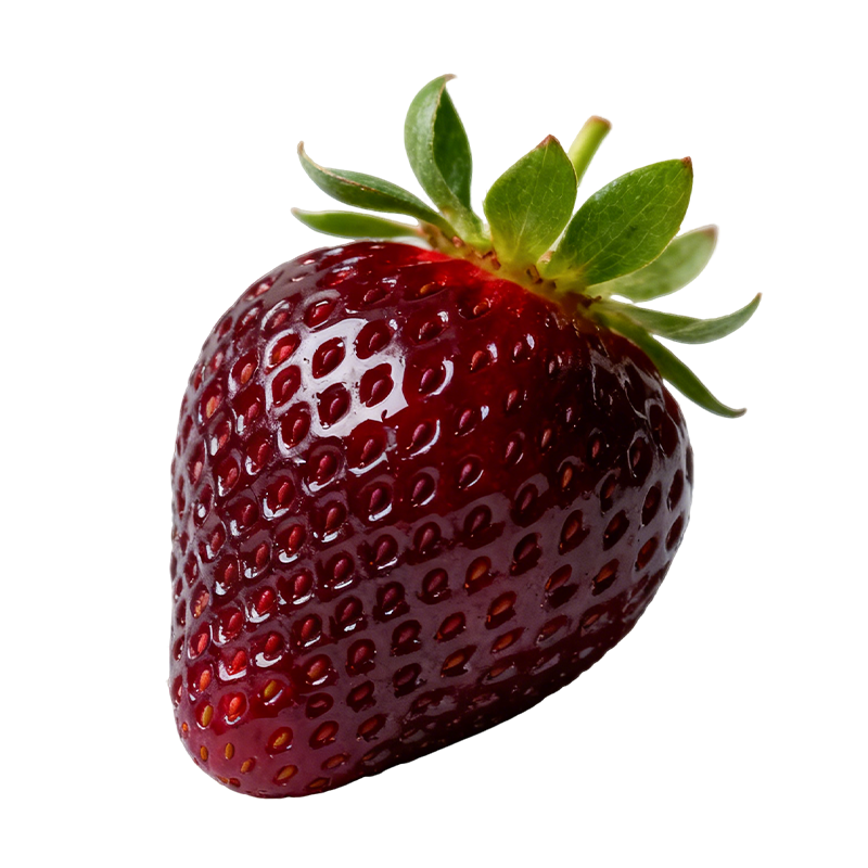 ���߲�ݮ������������絤���������Ժ������������綬������ֲ ����������������Բ�ݮ�� 3�� 22.5Ԫ