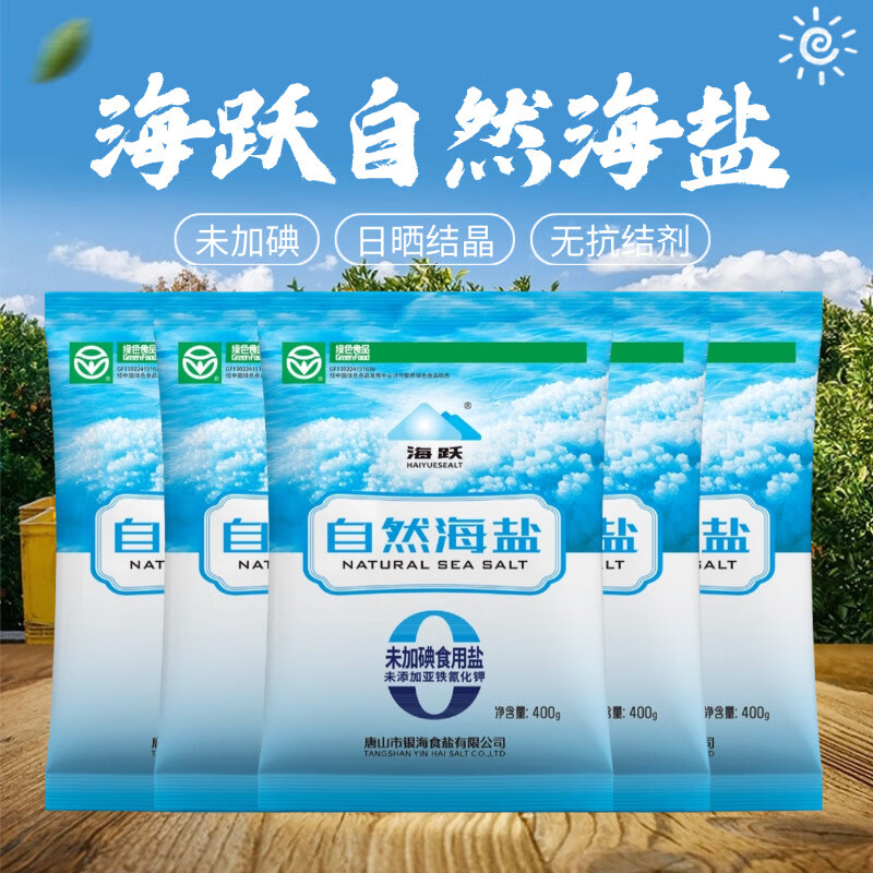 海跃绿色食品级自然海盐400g【未加碘】日晒海盐无抗结剂食用盐 绿色食品级自然海盐400gX5袋