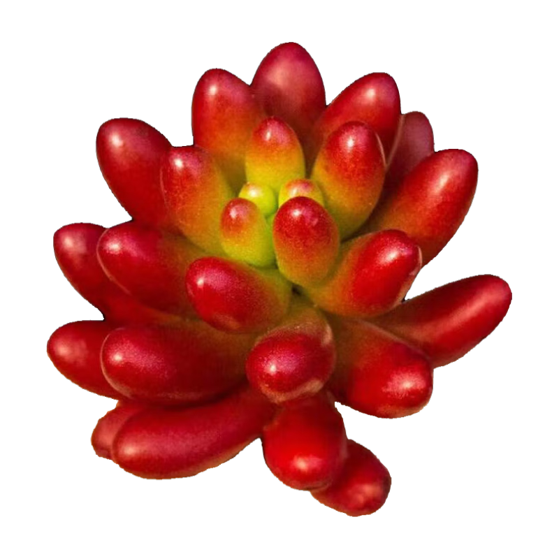 ��֮�����ֲ���ɫϵ�к�ɫ��Ʒ����칫��������̨���� ��֮��С��2-3���ס�1�š� 5.1Ԫ