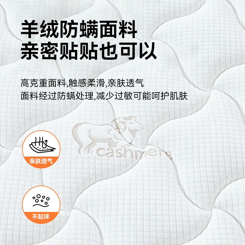 椰棕床垫1.8x2米海马3e环保椰棕床垫家用宿舍薄榻榻米硬床垫子 11cm撑腰舒睡款(防螨混纺面料+1cm记忆棉+7CM椰棕) 0.9X1.9米