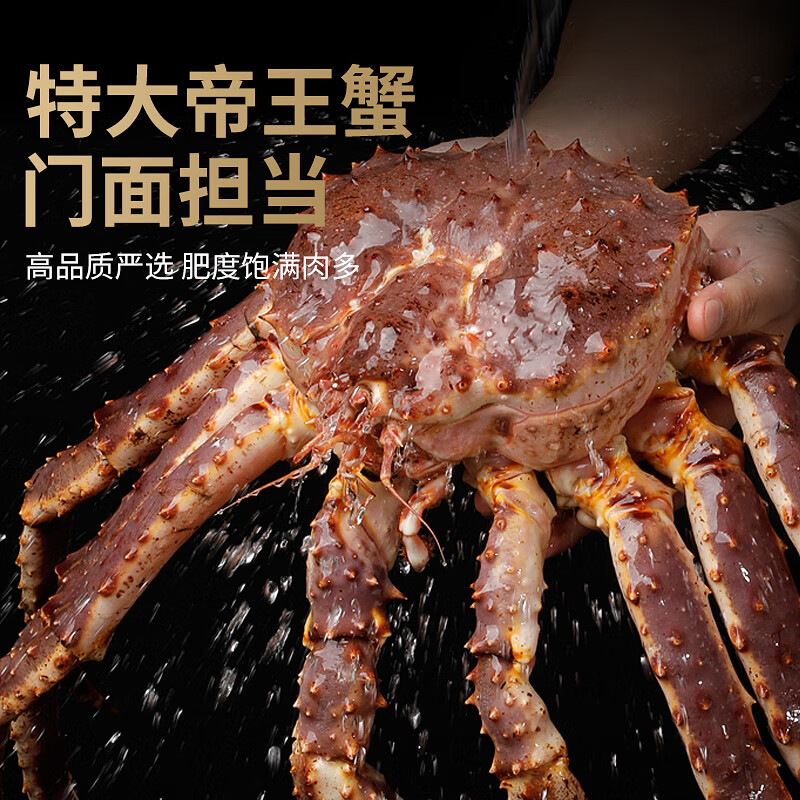 轩农谷鲜活俄罗斯帝王蟹新鲜冷冻海鲜皇帝蟹海鲜蟹类生鲜螃蟹帝皇蟹 【礼盒】特大帝王蟹8-9斤/只