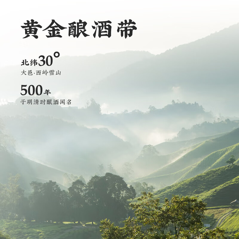 谷小酒 谷院烧酒52度桶装高度浓香型白酒5L约十斤 52度 5L 1桶 【赠饮100ml不满意包退】