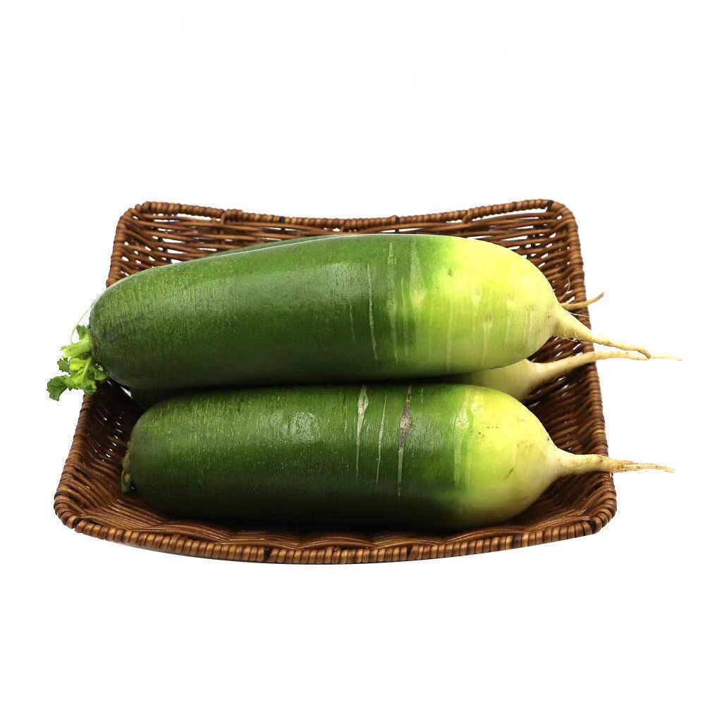 佳农宝菜 水果萝卜正宗潍坊绿青萝卜脆甜生熟两吃当季新鲜蔬菜 净重5斤【冷藏后口感更佳】