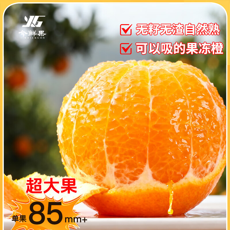 今鲜果四川爱媛38号果冻橙特大果新鲜水果橙子应季现摘柑橘子手剥橙 统货直发(普通快递) 爱媛果冻橙净重8斤/单果70mm+