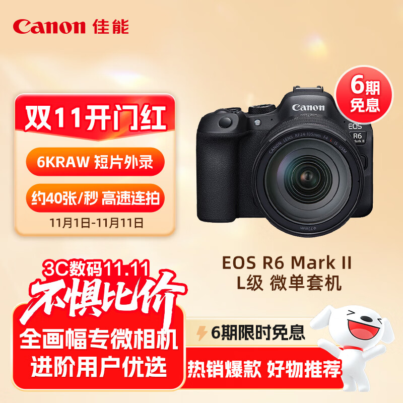 佳能（Canon）EOS R6 Mark II R6二代 新标准全画幅微单相机R62 L级24-105标准镜头套装