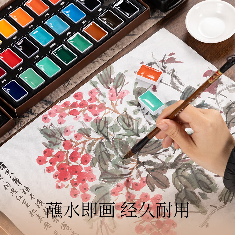 古彩 CLASSICAL ART固体国画颜料24色绽盛系列初学套装中国画12色套装钛白藤黄小学生水墨画工笔画高级传统矿物质颜料 基础6件套 12色国画颜料