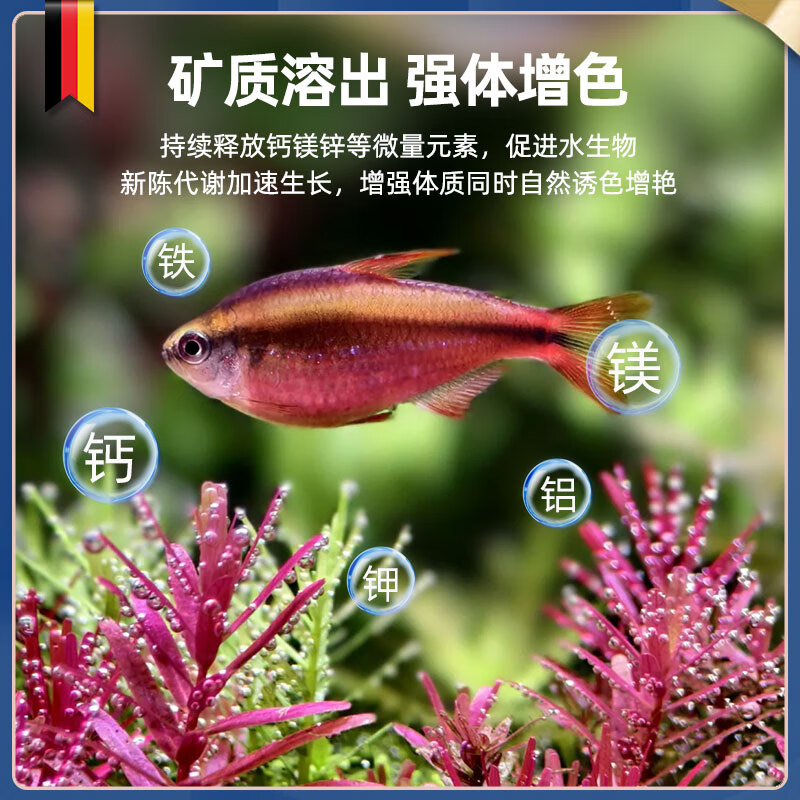 AMTRA鱼缸滤材玻璃环过滤环滤材净水培菌细菌屋德国安彩 【玻璃环、净化水质】5L/盒