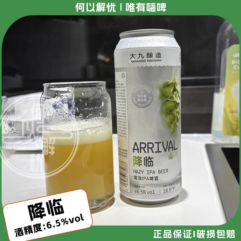 大九酿造 国产精酿啤酒 降临浑浊IPA/流体果泥/热带共和海/芭乐之旅 降临浑浊IPA 500mL 6罐
