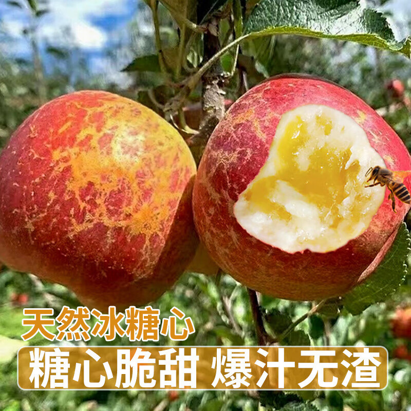觅百果正宗云南昭通丑苹果冰糖心苹果水果新鲜红富士当季特产送礼整箱 净重9斤大果【80-85mm】约18-21枚