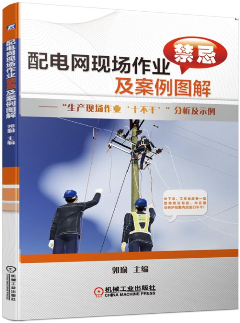 配电网现场作业禁忌及案例图解 "生产现场作业十不干"分析及示例