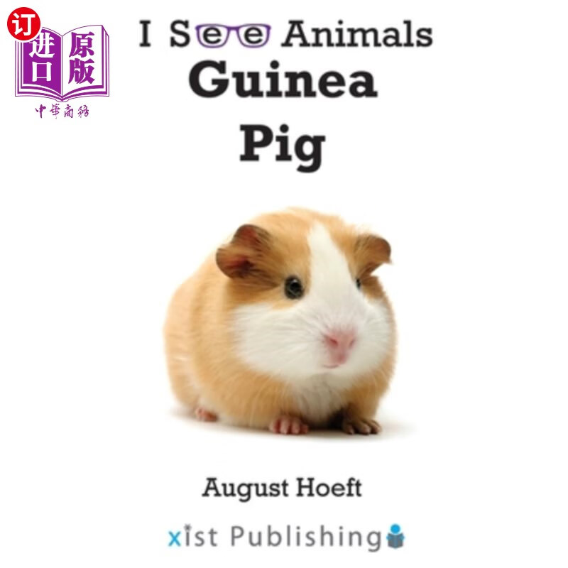 海外直订guinea pig 豚鼠