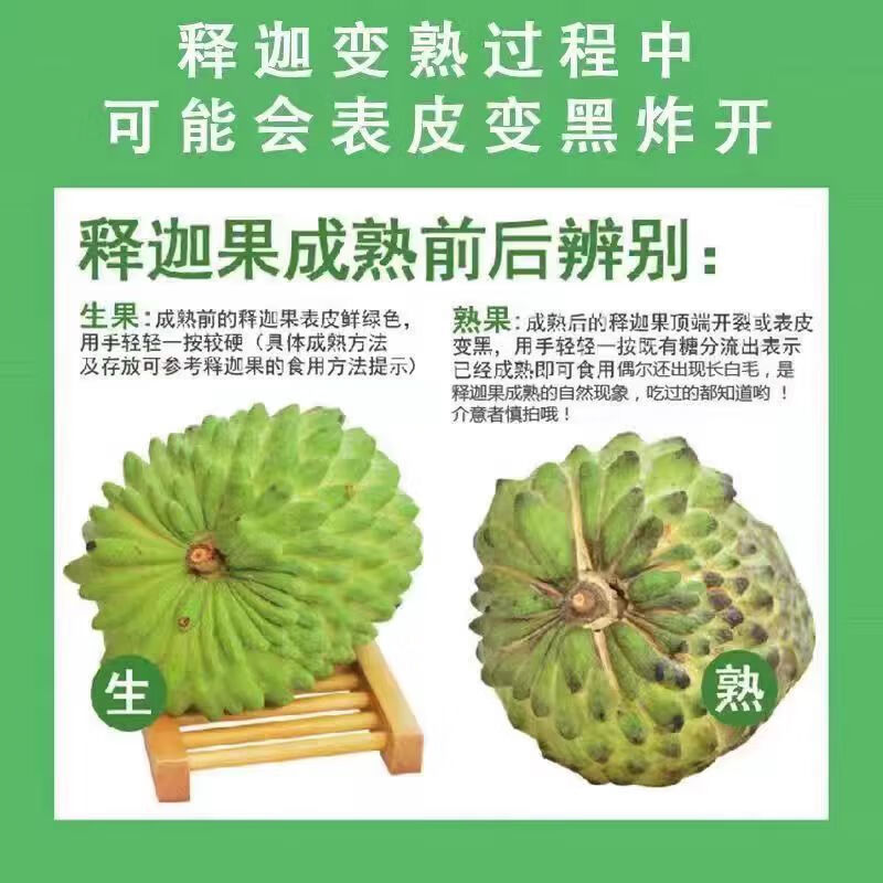 冰糖释迦果佛头果番荔枝 爆甜多汁牛奶果凤梨水果生鲜当季 3斤小果(150g+)需催熟