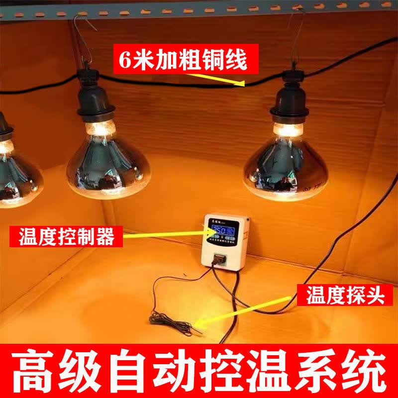 自动控温灯育雏保温灯恒温加热畜牧养殖烤灯宠物爬虫小鸡猪保暖灯 自动恒温器+灯头线+2灯泡属于什么档次？