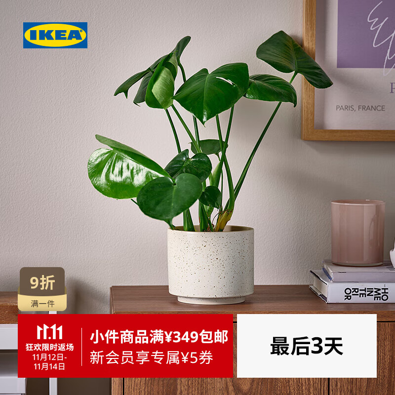 宜家（IKEA）【新品】SANDKORSBAR桑雪斯拜装饰花盆水培绿植摆件家用 装饰用花盆米黄色12cm