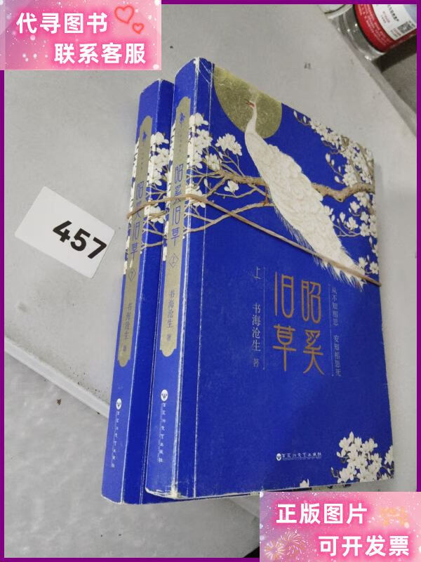 昭奚旧草 /书海沧生 百花洲文艺出版社