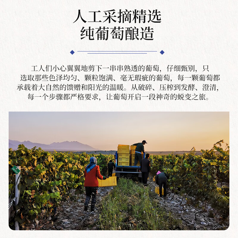 帝月宁夏贺兰山清雅干红葡萄酒赤霞珠13度整箱红酒过节送礼自饮葡萄酒 清雅750ml干红13度6瓶(塑料开瓶器×1)