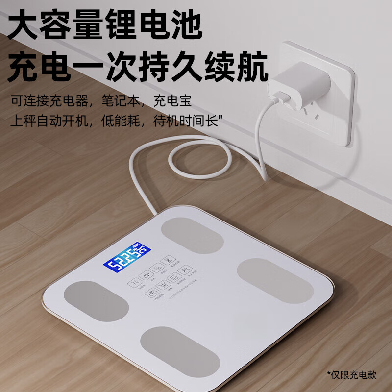 DIKTT德国体重称减肥专用智能精准体重充电款体重称高精度家用精准到0.01克减肥专用可测体脂家用充电 【皓月白-体重秤/充电款】精准智芯+精准称重