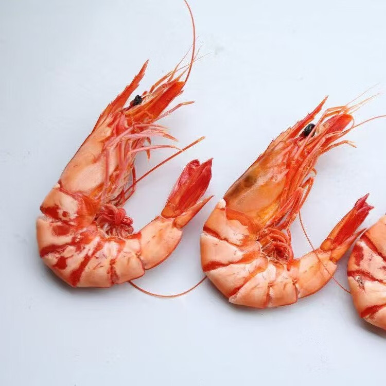 井澳南澳海鲜虾干九节虾虾干烤虾干即食特大号虾干500g约40-50条礼盒 红色 [精选]超大虾500克/约40-50只（送礼推荐）