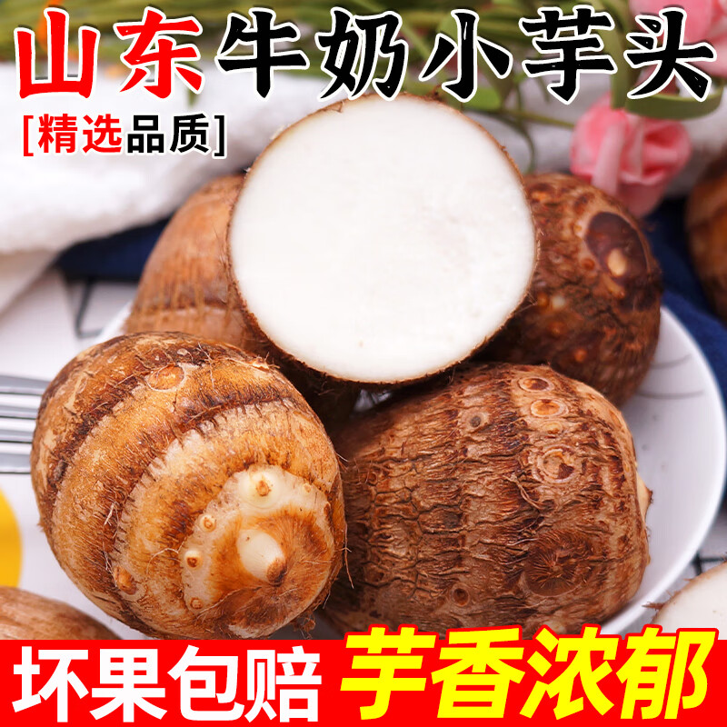 粤迎山东牛奶小芋头新鲜毛芋头奶油芋艿鲜蔬菜芋头今年新货现挖毛芋头 5斤优选果【香甜软糯】净4.5斤