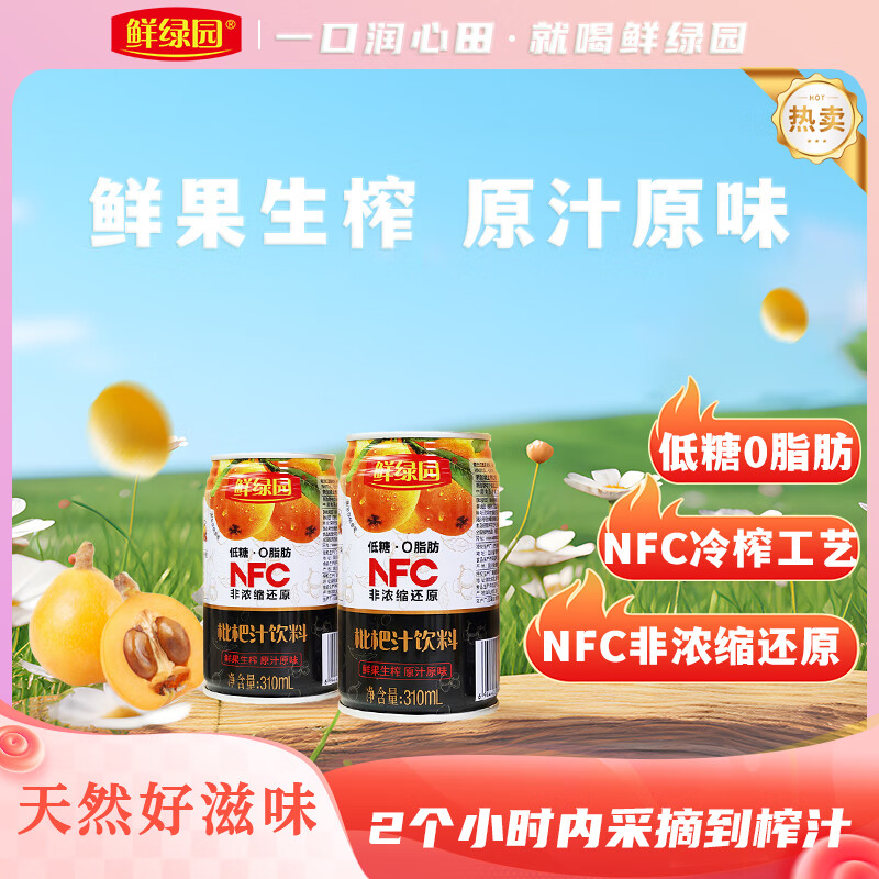 鲜绿园枇杷王鲜果汁解腻解辣整箱枇杷果蔬汁饮料枇杷果原浆310ml/罐 310ml*6