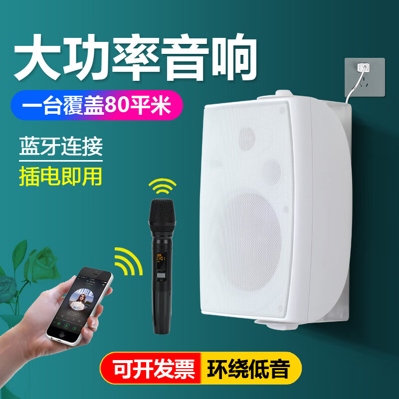 AITES舞蹈教室专用蓝牙壁挂音箱舞蹈室会议室带话筒重低音有源喇叭挂墙音响无线麦克风教学连一体机电脑 白色主音响